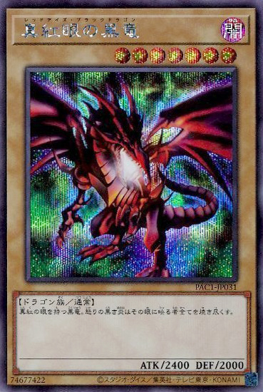 PAC1-JP031