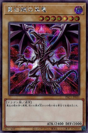 PAC1-JP031