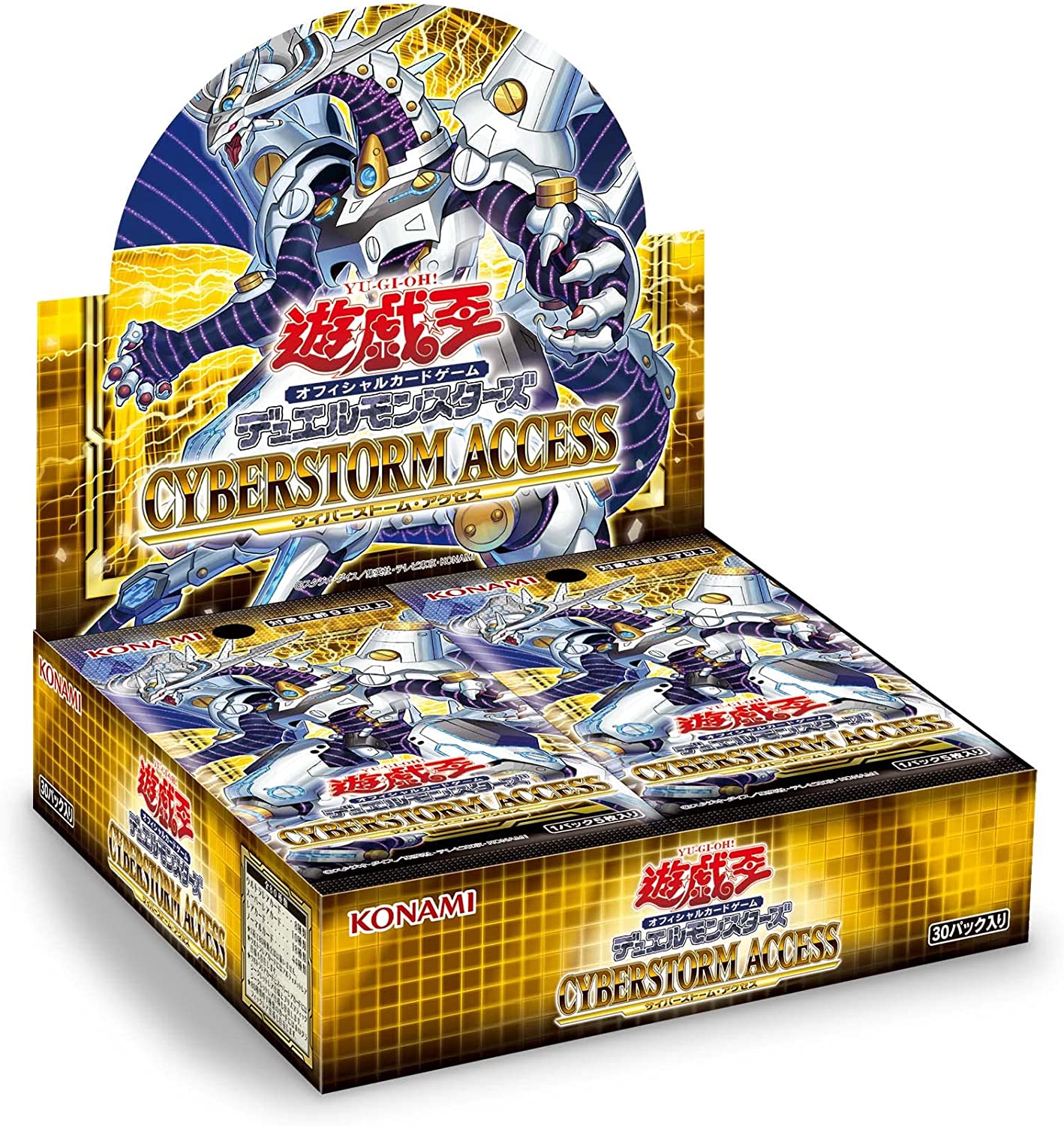 CYBERSTORM ACCESS